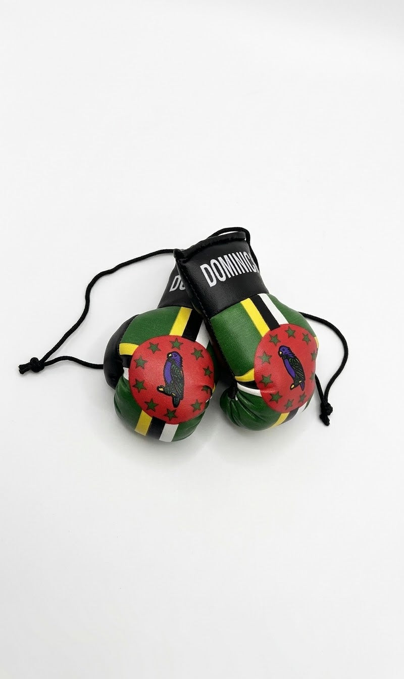Island Flag Boxing Gloves
