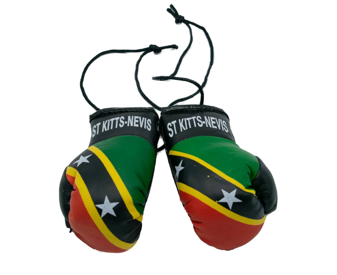 Island Flag Boxing Gloves