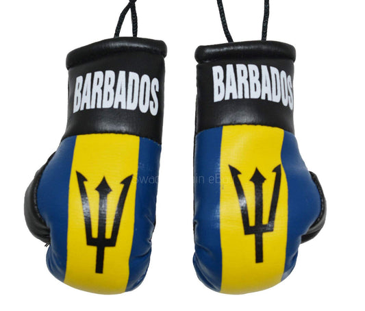 Island Flag Boxing Gloves
