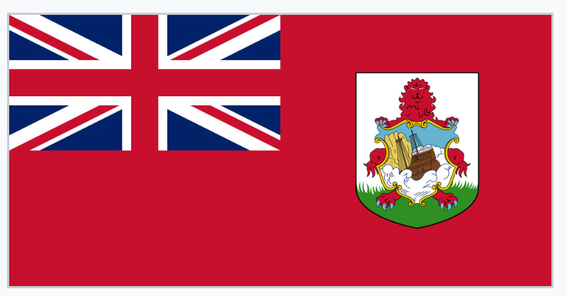 Large 5ft x 3ft Flag