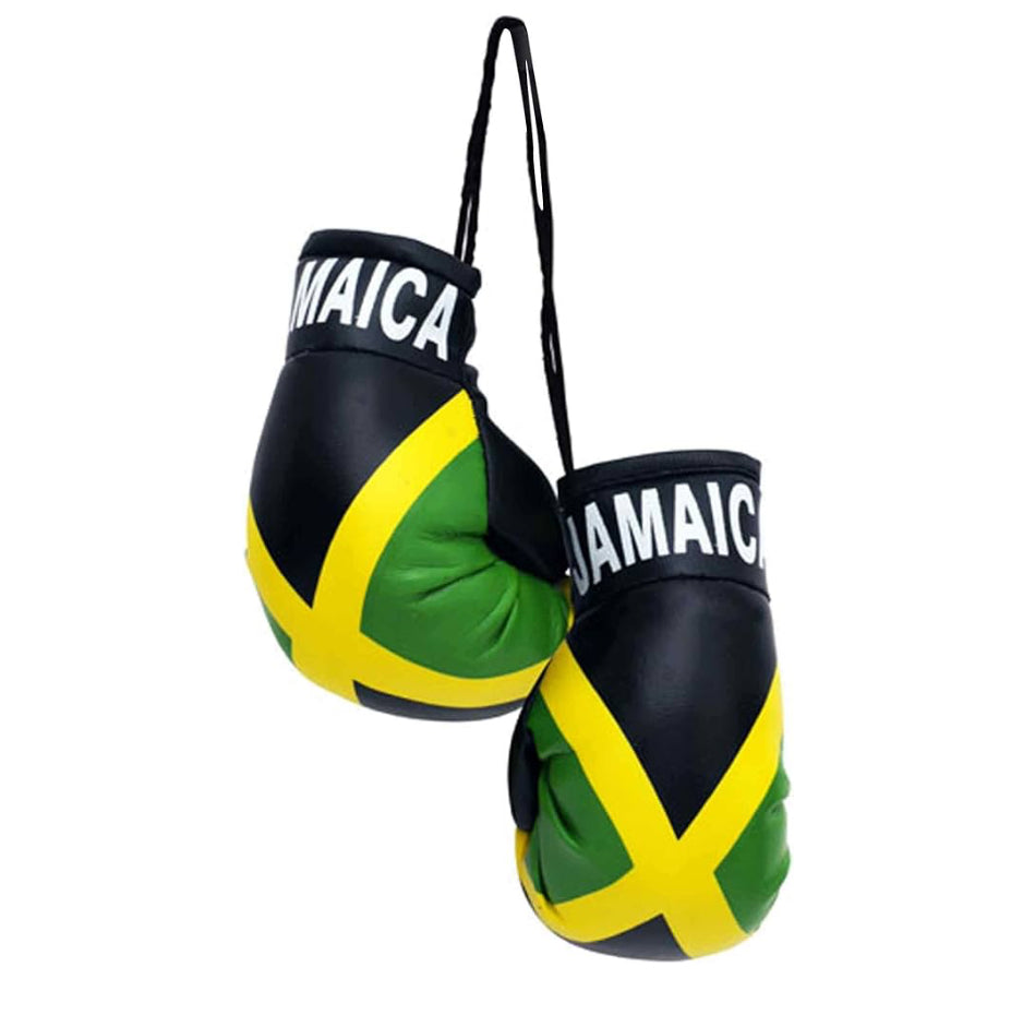 Island Flag Boxing Gloves