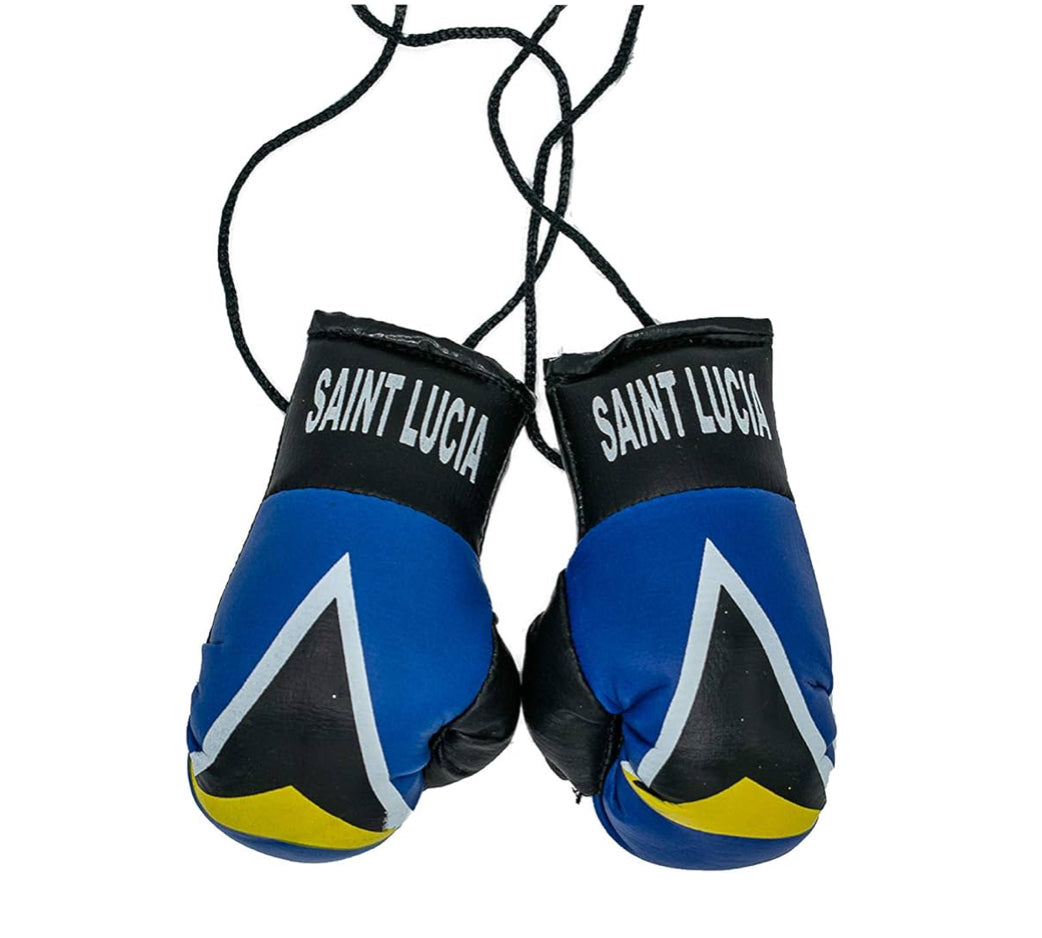 Island Flag Boxing Gloves