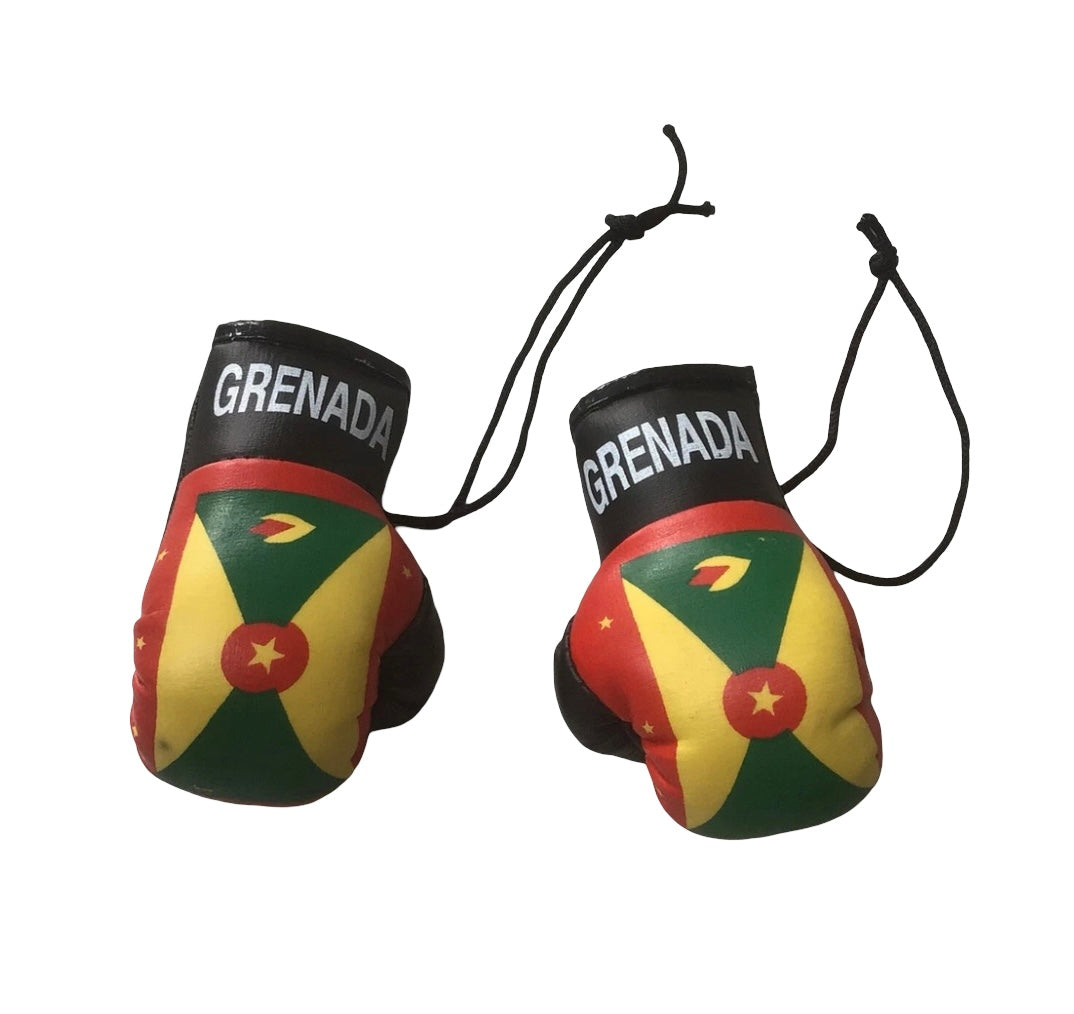 Island Flag Boxing Gloves